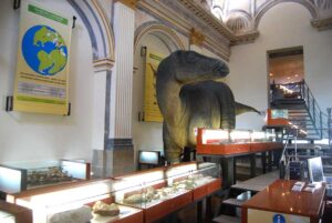 Museo de dinosaurios